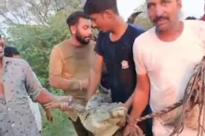 In UP's Jhansi, Forest Dept Intervenes After Villagers Tie Crocodile To A Bicycle