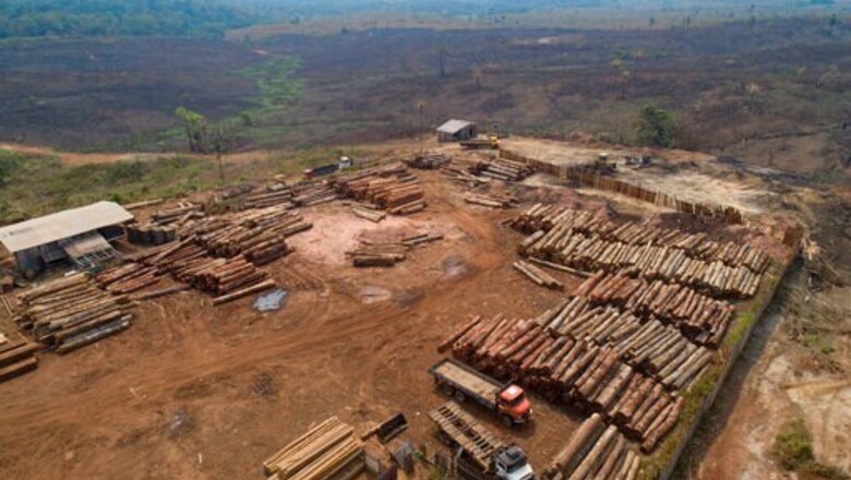 Deforestation in the Brazilian Amazon may be at 14 year high