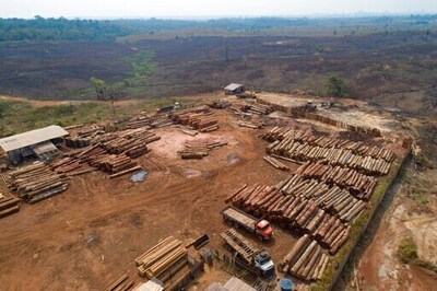 Deforestation in the Brazilian Amazon may be at 14 year high