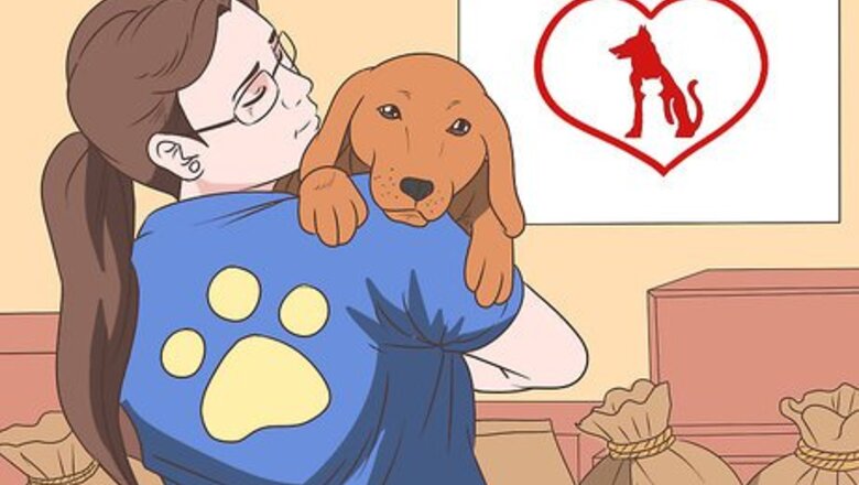 How to Help Save Animals from Abuse