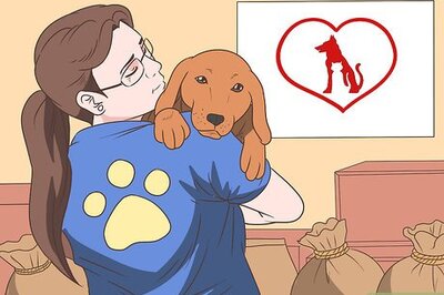 How to Help Save Animals from Abuse