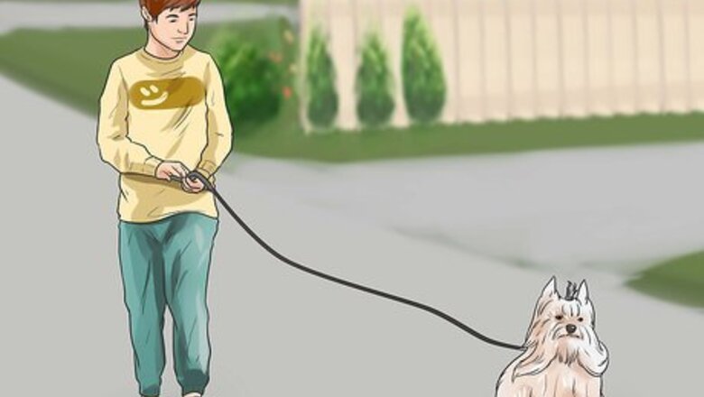 How to Train a Blind Dog