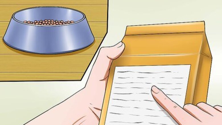 How to Care for Maltipoos