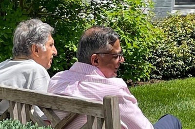 In Tribute To Ratan Tata, N Chandrasekaran Explains How Much He Cared About Dogs