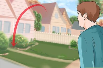 How to Train French Bulldogs