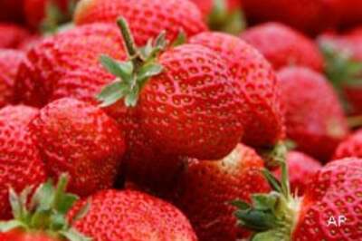 Strawberries can boost kids' memory