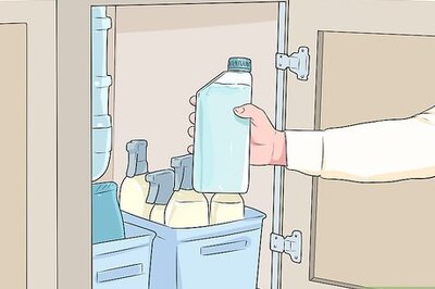 How to Look After Your First Puppy