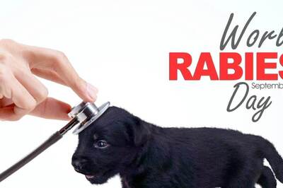 Why is 28 September World Rabies Day? 2024 Theme, History, Significance, and Key Facts