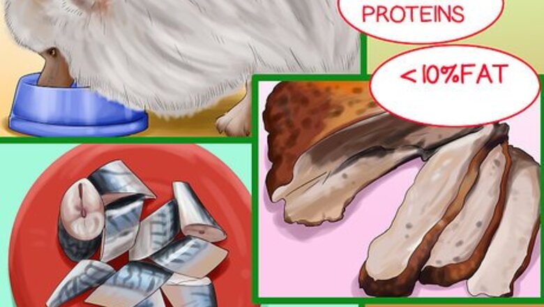 How to Choose All Natural Pet Food for Pomeranians