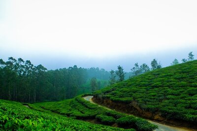 Top 6 Serene Monsoon Getaways to Explore in India With Spectacular Views