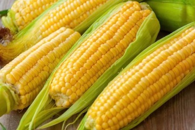 5 Nutrition Facts and Health Benefits of Corn
