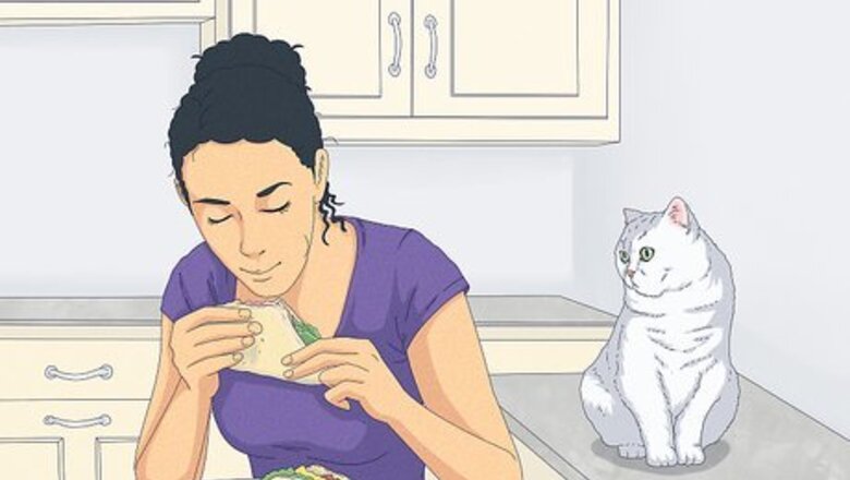 How to Eat Without a Cat Begging