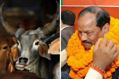 Those Who Consider India Their Country, Should Treat Cow as Mother: J'khand CM