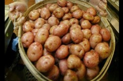 For strong immune system, eat potatoes