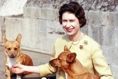 Did You Know Queen Elizabeth Chose Kindness Over Cruelty by Banishing Fur from her Royal Wardrobe?