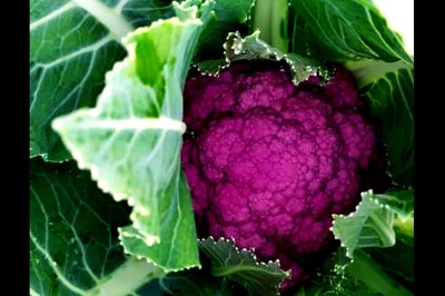 Growing Valentine: In the Land of Rice, a Young Farmer Scripts Success with Colourful Cauliflowers