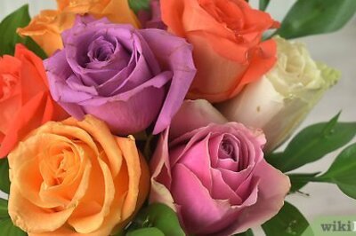 How to Preserve Petals