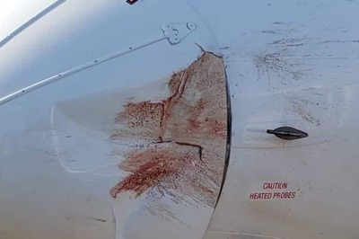What Happens When a Bird Hits An Aeroplane At High Speed? Scary Pic Goes Viral