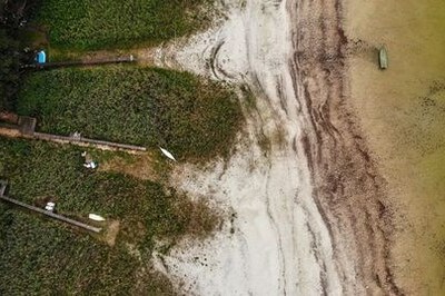 Drying Brandenburg lake is symbol of climate change, say scientists