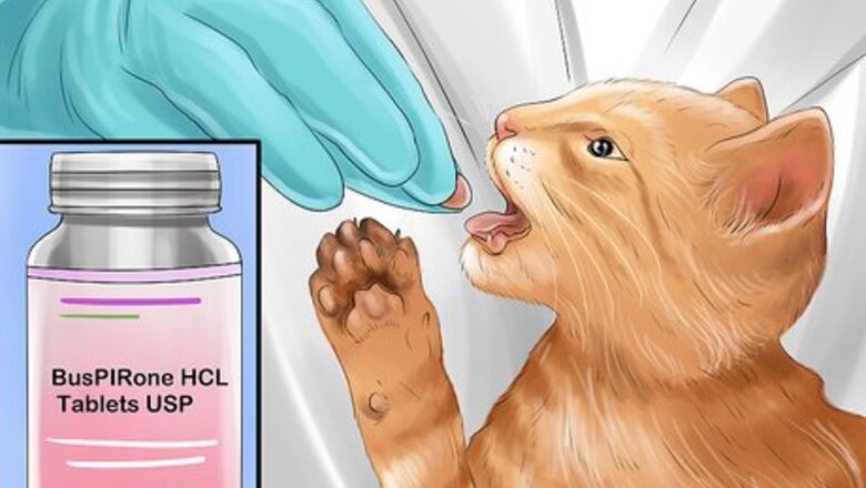 How to Give Serotonin (5 Ht) Agonists to a Cat