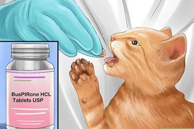 How to Give Serotonin (5 Ht) Agonists to a Cat