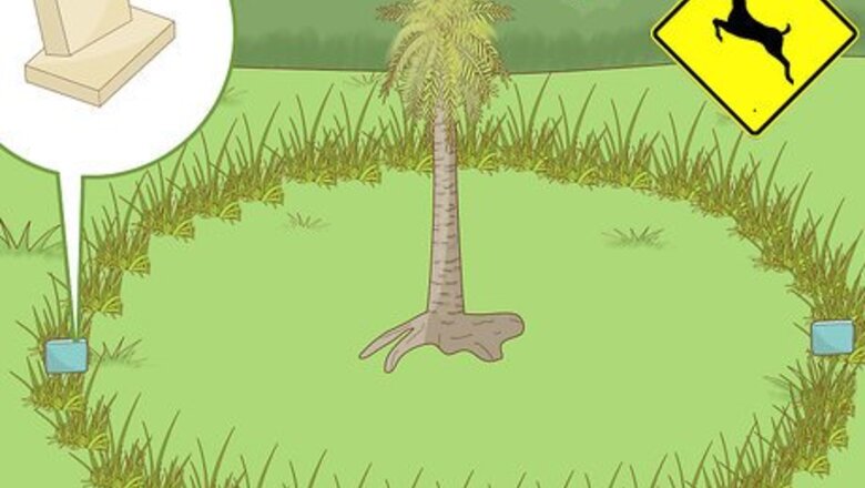 How to Stop Deer from Eating Your Plants and Trees with Soap