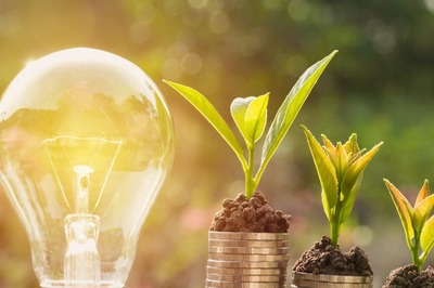 International Day for the Preservation of the Ozone Layer 2021: 5 Easy Ways to Live a More Eco-Friendly Lifestyle