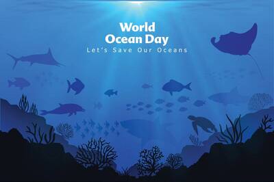 World Oceans Day 2021: Important Facts about Oceans You Need To Know