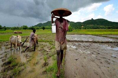 Angry With Modi and KCR Govts, Over 200 Farmers File Nominations in Nizamabad
