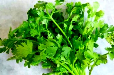 5 Health Benefits Of Consuming Coriander Leaves