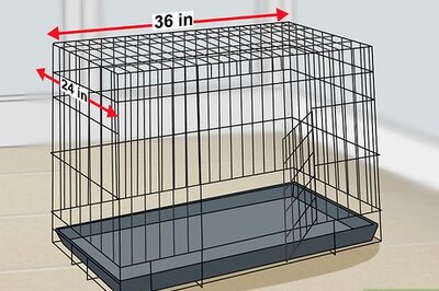 How to Crate Train Dachshunds
