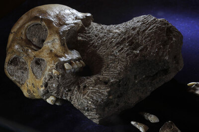 This Study Says Humans May Have Come From Europe, Not Africa