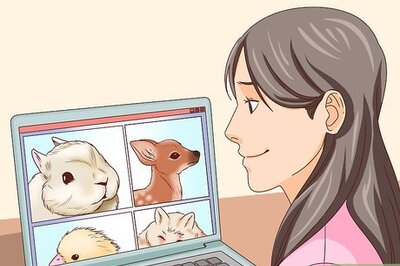 How to Forget Something Horrible You Saw on the Internet