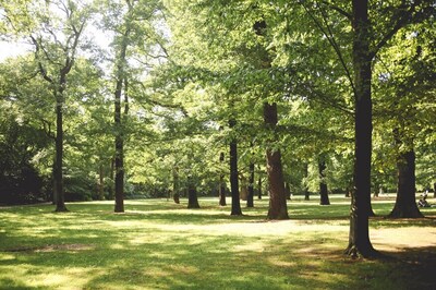Nudists Get Their Place in The Sun at Paris Park