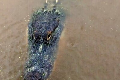 'Sigh Of Relief': Sally Spares A Mississippi Gator Ranch