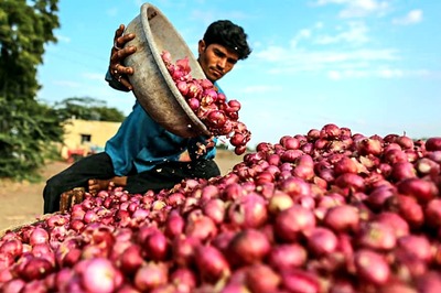 Govt Reduces Onion Stock Holding Limit for Retailers, Wholesalers Amid Rising Prices