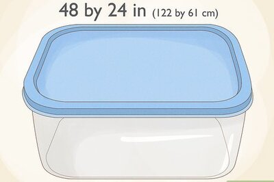 How to Grow Bloodworms