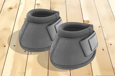How to Put Boots on a Horse