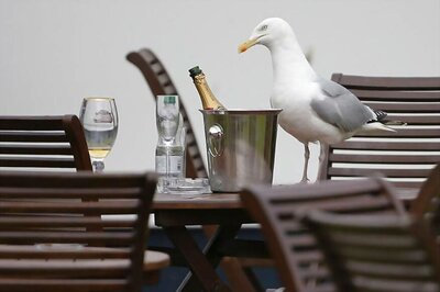 British Pub Chain Bottles Up, Says No More Champagne Before Brexit