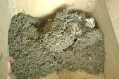 Drugs worth Rs 12 cr seized in Mumbai