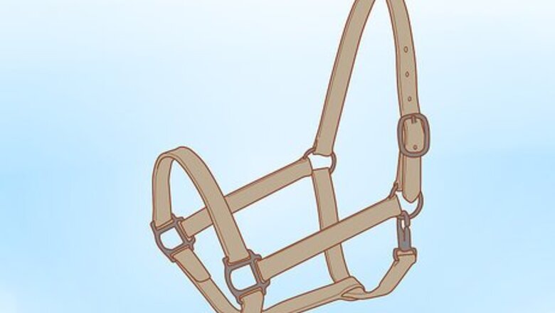 How to Prepare For the Arrival of a Horse