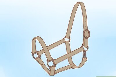 How to Prepare For the Arrival of a Horse