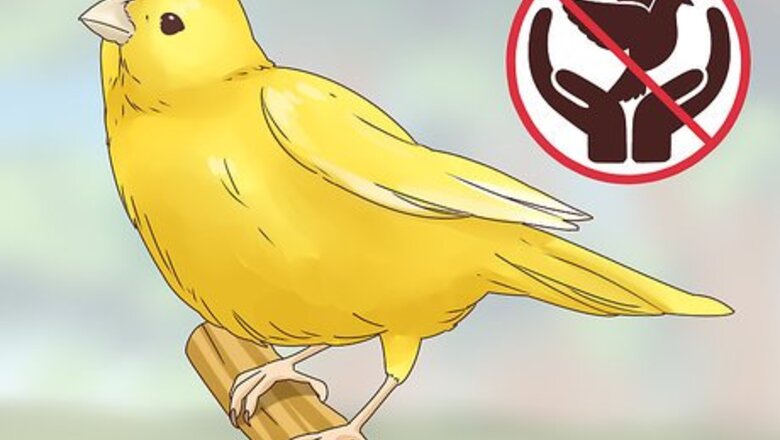 How to Choose a Canary