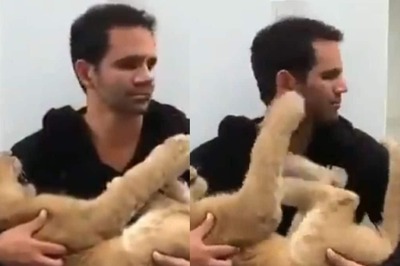 Stop Everything And Watch This Man And Cub's Pure Affection For Each Other