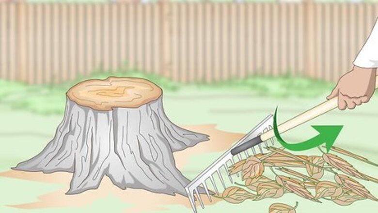 How to Burn Tree Stumps