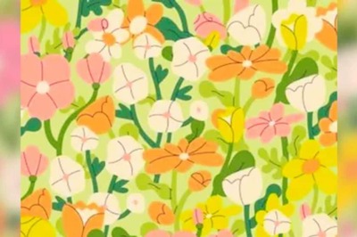 Optical Illusion: Spot 6 English Letters In 7 Seconds