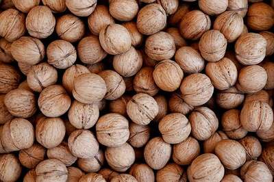 Woman Hides 3kgs Drugs in Walnuts, Caught at Dubai Airport