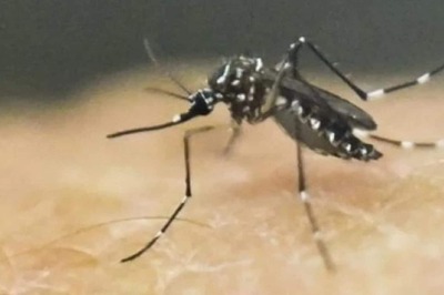 Maharashtra: 7-year-old Girl Found Infected with Zika Virus in Palghar District