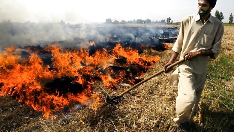 ‘Why do Dilliwalas Crib About Crop Fires and Ignore their Own Polluting Ways?’
