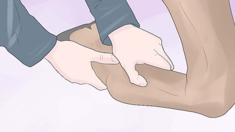 How to Assess Tendon Damage in a Horse